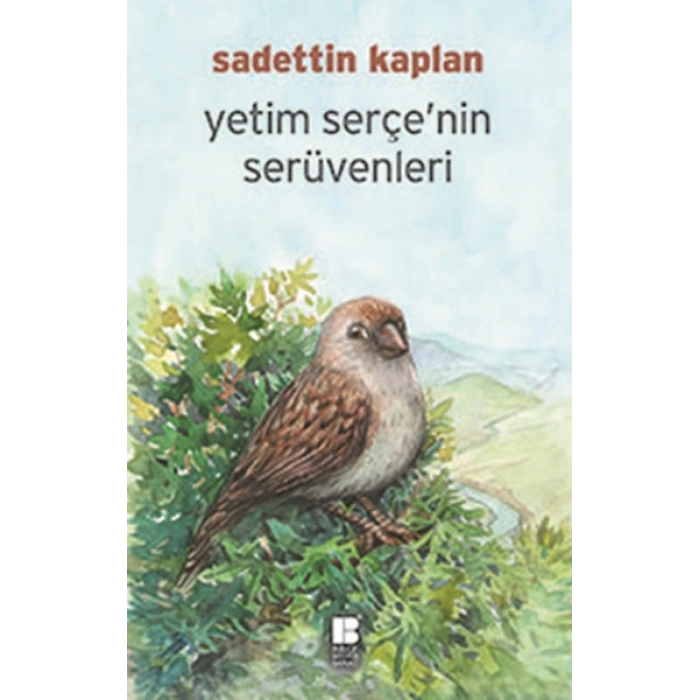 Yetim Serçenin Serüvenleri