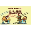 2 3 4lük Bilmeceler