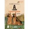 A Takımı İz Sürücü Köpekler 2 - A Takımı İz Sürmeyi Öğreniyor