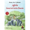 Advin Gümüş Sırtlı Goriller Ülkesinde