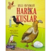 Akıllı Hayvanlar Harika Kuşlar