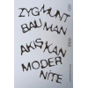 Akışkan Modernite