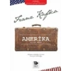 Amerika : Yitik Adam