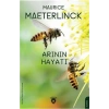 Arının Hayatı