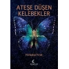 Ateşe Düşen Kelebekler