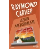 Azgın Mevsimler