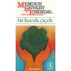 Bir Kucak Çiçek