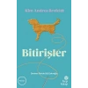 Bitirişler
