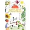 Bitkilerin Yaşam Döngüsü