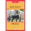 Black Beauty - Stage 2