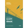 Çalıntı Gömlek Bütün Öyküleri -5