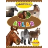 Çıkartmalı Atlar