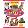Çıkartmalı Kediler