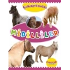 Çıkartmalı Midilliler