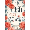Çisil Çisil Yağmur
