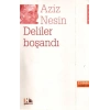 Deliler Boşandı