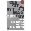 Deniz Kıyısında Koşan Ala Köpek