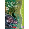 Doğanın Kabusları / Beyin Fırtınası