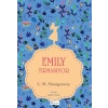 Emily Tırmanıyor (II) - (Bez Ciltli)