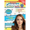 Fenomen Çengel Bulmaca 17