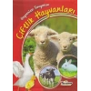 Hayvanları Tanıyorum Çiftlik Hayvanları