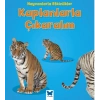 Hayvanlarla Etkinlikler - Kaplanlarla Çıkaralım