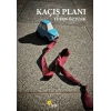 Kaçış Planı