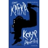 Kayıp (Amerika)