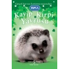 Kayıp Kirpi Yavrusu