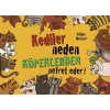 Kediler Neden Köpeklerden Nefret Eder?
