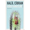 Kırık Kanatlar