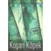 Koşan Köpek