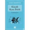 Küçük Kara Balık