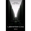 Labirentten Çıkış