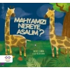 Mahyamızı Nereye Asalım?