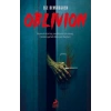 Oblivion - Karanlık İstila