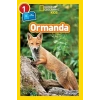 Ormanda - Seviye 1