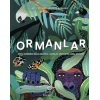 Ormanlar - Dünya  Üzerindeki Balta Girmemiş  Ormanlar, Korular ve Doğal  Rezervler