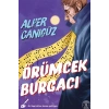 Örümcek Burgacı