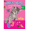 Oyna Öğren Sevimli Arkadaşım Kedi 4 Yaş Üstü