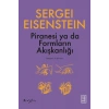 Piranesi ya da Formların Akışkanlığı