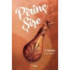 Pirinç Şişe