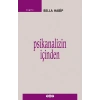 Psikanalizin İçinden