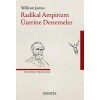 Radikal Ampirizm Üzerine Denemeler