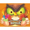 Şekilli Hayvanlar Serisi - Baykuş