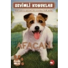 Sevimli Konuklar 4 -Afacan