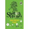 Sherlock Holmes: BaskervilleLerin Köpeği