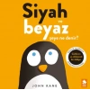 Siyah ve Beyaz Şeye Ne Denir?
