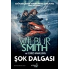 Şok Dalgası