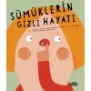 Sümüklerin Gizli Hayatı